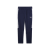 Puma TteamEVOSTRIPE Pants Trainingshose