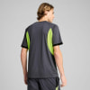 Puma IndividualLIGA T-Shirt