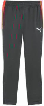 Puma IndividualLIGA Trainingshose