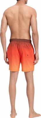Firefly Lario Typo Shaded Badeshorts