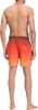 Firefly Lario Typo Shaded Badeshorts