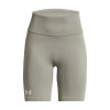 Under Armour Train Seamless Shorts