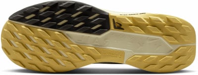 Nike Pegasus Trail 5 GTX Traillaufschuhe