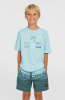 O'Neill Cali Stripe Badeshorts