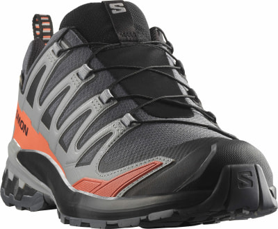 Salomon XA Pro 3D V9 GTX Traillaufschuhe