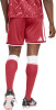 adidas Liverpool FC 26/27 Heim Fußballshorts