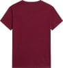 The North Face Evolution Simple Dome T-Shirt