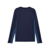 Puma teamLIGA26 Training Sweater