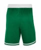 Nike NBA Bosten Celtics Icon Edition Basketballshorts