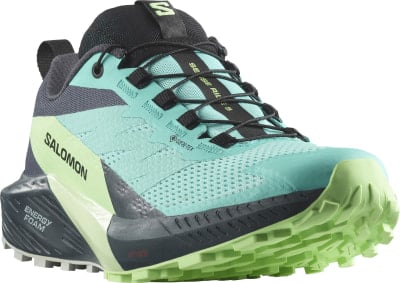 Salomon Sense Ride 5 GTX Traillaufschuhe