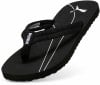 Puma Epic Flip V3 Flip Flops