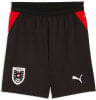 Puma ÖFB 2026 Fussballshorts Replica