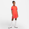 Nike Dri-Fit Acadmey Trainingstrikot