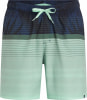 Firefly Lucio Flowline Badeshorts