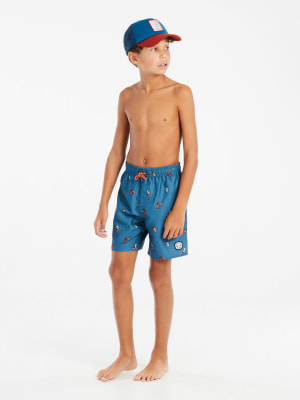 Protest Prtrocker Beachshort