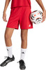 Eine Person hält einen Fußball und trägt rote Shorts und weiße Socken.
