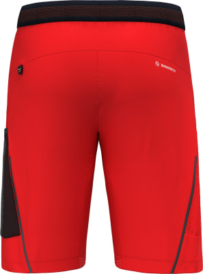 Salewa Pedroc 3 Dst Cargo Wandershorts