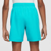 Nike Dri-FIT Multi Shorts