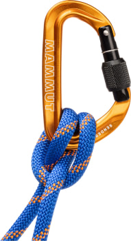 Mammut Sender Screwgate Karabiner