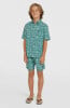 O'Neill Print Badeshort