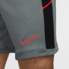Nike Academy Dri-FIT Shorts