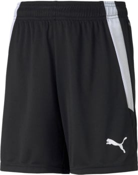 Puma teamLIGA Shorts