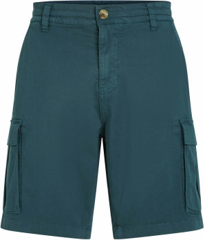 O'Neill Essentials Cargo Shorts