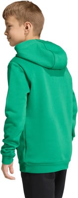 Junge im grünen Kapuzenpullover, von hinten gesehen.