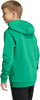 Junge im grünen Kapuzenpullover, von hinten gesehen.