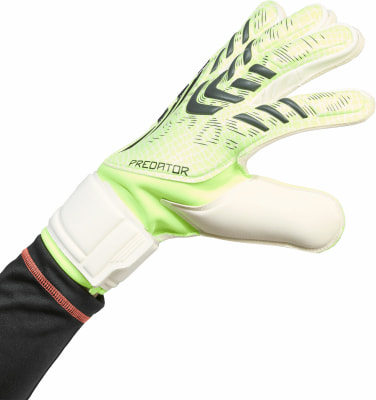 adidas Predator Match Torwarthandschuhe