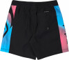 Quiksilver Everyday Holmes Badeshorts