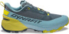 Dynafit Transalper 2 GTX Traillaufschuhe