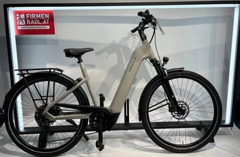Helles Damen-E-Bike mit schwarzen Akzenten und Gepäckträger.