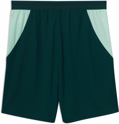 Puma ÖFB 2026 Fußballshorts Replica