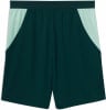 Puma ÖFB 2026 Fußballshorts Replica