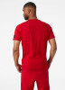 Helly Hansen RWB Graphic férfi póló