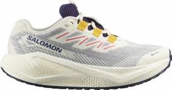 Salomon Aero Blaze 3 Gravel GTX Laufschuhe