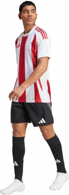 adidas STRIPED 24 JSY Trikot AEROREADY