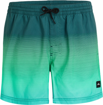 O'Neill Jack Gradient 15" férfi fürdősort