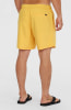 O'Neill Original Cali 16 Badeshorts