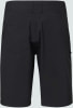 Oakley Baseline Hybrid 21 Shorts