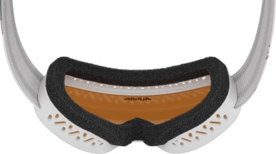 Alpina Piney 2.0 Skibrille