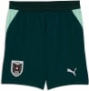 ÖFB 2026 Fussballshorts Replica