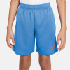 Nike DF HBR Shorts