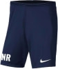 Nike Dri-Fit Park 3 Trainingsshorts