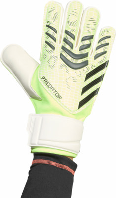 adidas Predator Match Torwarthandschuhe