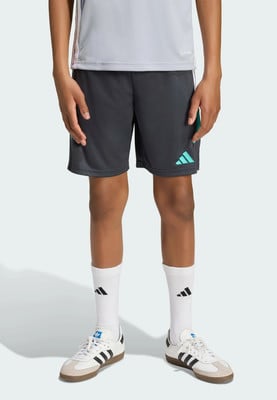 Chlapec má na sobě tmavě šedé šortky s tyrkysovými logy Adidas. Chlapec má na sobě tmavě šedé šortky s tyrkysovými logy Adidas.