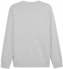 Puma Ess Elevated Crew Pullover