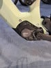 Detail eines E-Bike-Motors mit der Bezeichnung HEPHA P101.
