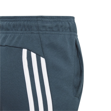 Future Icons Trainingshose